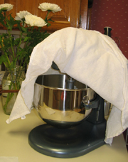 Tea Towel covering dough in the mixer while it's having its 30-minute 'rest'