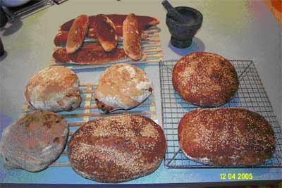 I bought a bread machine, and after 3 tries I successfully made a good  gluten free loaf! Size comparison in photo 2 of the homemade bread next to  a slice of Canyon Bakehouse. I just used a recipe I found on Google, I'll  link it in the comments in case anyone